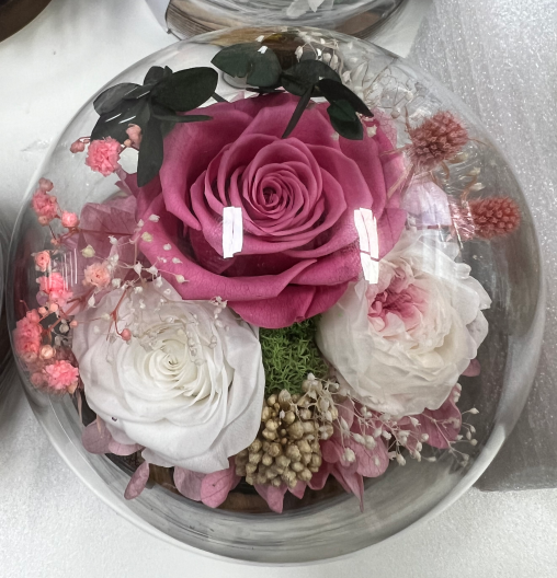 Preserved Flowers in Glass Dome QM1 - Pink