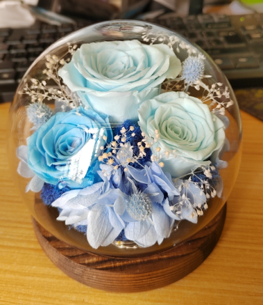 Preserved Flowers in Glass Dome QM1 - Light Blue