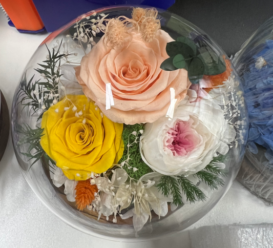 Preserved Flowers in Glass Dome QM1 - Colorful