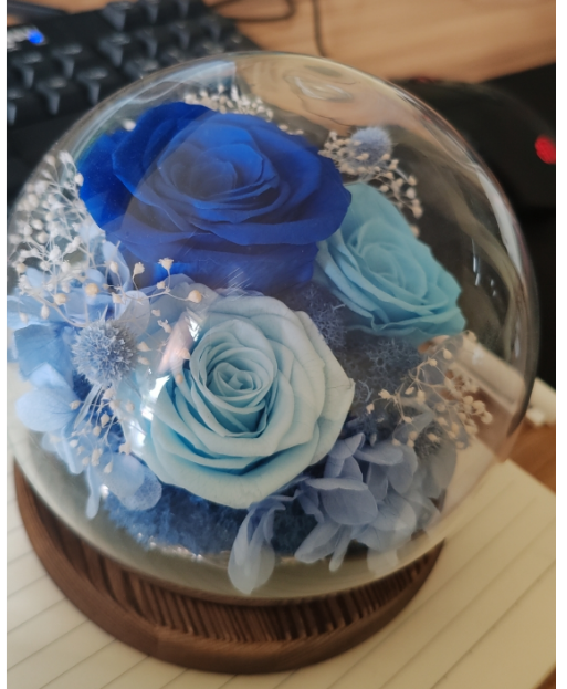 Preserved Flowers in Glass Dome QM1 - Dark Blue