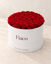 Fiaco Embrace Rose Cylinder from a three-quarter angle