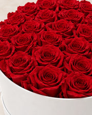 Close view of the preserved red rose petals